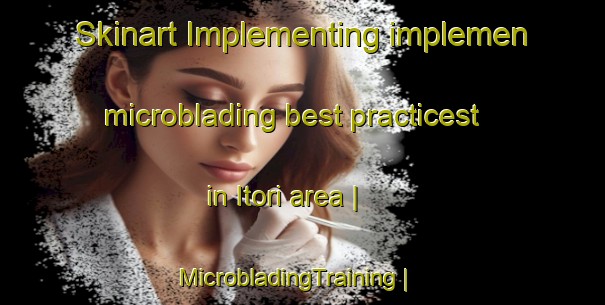 Skinart Implementing implemen microblading best practicest in Itori area | MicrobladingTraining | MicrobladingClasses | SkinartTraining-India